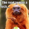 rccarking